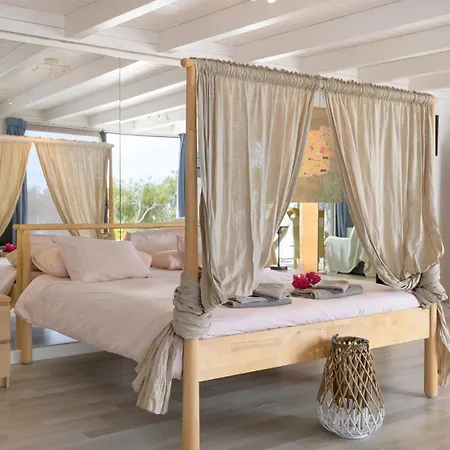 Lilli - La Maison De La Danse